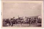 LOT-KO , DJIBOUTI , Jour De Marché - Djibouti