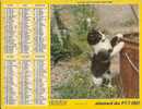 ALMANACH DES PTT 1982 Saone Et Loire Oller - Formato Grande : 1981-90