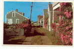 10530 Rose Covered Cottage Nantucket Island . MA2341D Photo Dick Mackay . - Nantucket