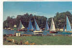 10496 Horning Regatta . SN 75 L.W. Sears, Norwich . Bateau Regate - Sonstige & Ohne Zuordnung