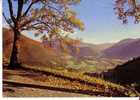 Couleurs D´AUTOMNE Au COL D´ASPIN - N°  65 AS 1072 - Midi-Pyrénées