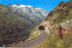 41923 Sustenpass-Strasse Meiringen-Wassen Radlefshorn Und Graue Stöckli - Meiringen