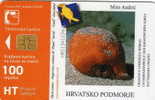 Croatia / Phonecard - Kroatien