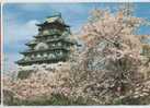 Japan - The Osaka's Castle Sourrounded By Cherry Trees In Full Bloom , Osaka - Osaka