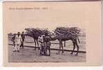 LOT-KO , YEMEN , ADEN , Wood Camels Steamer Point - Yémen