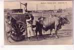 LOT-KO , YEMEN , ADEN , Bullock Water Cart - Yémen