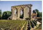 SAINT EMILION - La Grande Muraille - Saint-Emilion