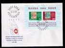 "HELVETIA" SUISSE Block Fdc NABRA-BERN 1965 Cover Special Pmk Gc1355 - Lettres & Documents