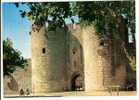 AIGUES MORTES - PORTE DE LA GARDETTE - Aigues-Mortes