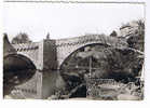 Lozère.CPSM.Mende.pont Notre Dame Sur Le Lot. - Mende