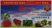 Watermelon,tomato,capsicu   M,cherry  Tomato,China 2008 Pingdu Greenhouse Vegetable Industry Advertising Pre-stamped Car - Légumes