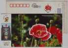 Poppy Flower,capsule Seed,bee,honeybee,China 2007 Yancheng Bureau Of Justice New Year Greeting Pre-stamped Card - Drogue