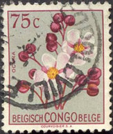 Pays : 131,1 (Congo Belge)  Yvert Et Tellier  N° :  309 (o) - Usados