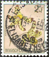 Pays : 131,1 (Congo Belge)  Yvert Et Tellier  N° :  313 (o) - Usados