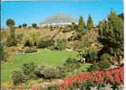 BLODEL CONSERVATORY QUEEN ELIZABETH PARK VANCOUVER - Vancouver