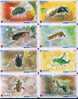 Insect Beetle Ant Fly Bee   ,China Telecom, Used Phonecard , 8  PCs - Marienkäfer