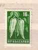 Bulgaria / Bulgarie  1959 Peppers (II)  1v.-MNH - Légumes