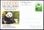 China 1993 Panda Stamped Postcard - Postkaarten