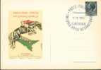 1956 Italia  Catania  Horse-Racing Ippica Horse-show Concorso Ippico  Sur Carte Officielle - Hippisme