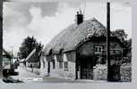 Jolie CP Photo Angleterre - West Lulworth - Cottage Toit De Chaume - CAD 6-07-1962 - Autres & Non Classés