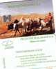 MADAGASCAR PAYSAGE CARTE ANCIENNE ANTIC CARD + VACHES COW GRANDS N° RARE 100U - Madagaskar