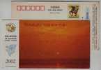 Homeland Of Migratory Bird,,China 2002 Yugan Country Landscape Advertising Pre-stamped Card - Kranichvögel