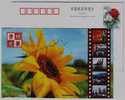 Sunflowers,model Workers,port Crane,chemical Factory,CN05 Liaoning Labour Union Advertising Pre-stamped Card - Chemie