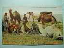 4077 PALESTINE PALESTINA GROUP OF CAMELS IN THE DESERT -  AÑOS / YEARS 1920 - Palestine