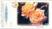 Rose  S'est Levé  Flower  Fleur  ,  Pre-stamped Card , Postal Stationery - Rosen