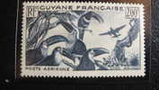 GUYANE - Aéro N° 37 - Gomme & Trace Charnière - Gum & Hunger Mark - Unused Stamps