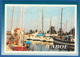 Deutschland; Laboe; Hafen - Laboe