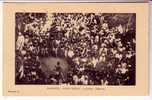 LOT-KO , DAHOMEY , Edition E . R . PORTO NOVO , 14 Juillet , Tam Tam - Dahomey