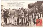 17 -   SAUJON  - Nos Deux Charentes - La Foire Aux ânes  - Poème De F. Mousset - Saujon