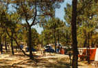 17 / LES MATHES / LA PALMYRE / CAMPING - Les Mathes