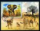 ELEPHANT / LION  / BLOC FEUILLET / UMM AL QIWAIN 1971 - Elefantes