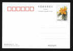 China 2000 Flower Stamped Postcard  Unused - Postcards