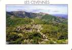 TRANSHUMANCE Sur La DRAILLE -   Les Cévennes  -   N°  4679 - Breeding