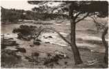 83 - Saint-Aygulf - Bord De Mer - CPSM - Mar 5970 - (circulée 1952) - Saint-Aygulf