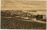 Carte Postale Rüdesheim - Ruedesheim A. Rh.