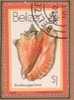 Belize 468 (1980) ;coquillages ; Ob.  Cote : 0.60 Eur. - Belice (1973-...)