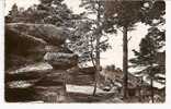 MONT SAINTE ODILE   -   VUE SUR LE BECKENFELSEN  -  Editeur : X.LECHNER De Strasbourg  N° 1494 - Sainte Odile