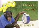 2000  -  .....  Heures Sans Toi, C´est Trop !!! -  Singe - Singes