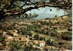 CPSM. VAISON LA ROMAINE. "LA POMPEÏ FRANCAISE". VUE GENERALE SUR LA CITE. DATEE 1972. - Vaison La Romaine