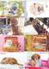 8 Cartes Différentes Avec Des Chats - CHAT CAT 8 Cards - KATZE 8 Karten Katten (12) - Katzen