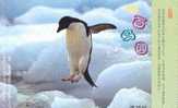 Pinguins   Bird Ice Polar ,  Pre-stamped Card, Postal Stationery - Pinguine