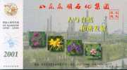 Flower Lotus Dongming Petroleum Chemical Factory   ,  Pre-stamped Card, Postal Stationery - Pétrole