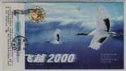 Red Crowned Crane Bird,China 2000 Hunan Cigarette Factory Advertising Pre-stamped Card - Cranes And Other Gruiformes