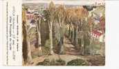 GUERET  -  ALLEE PRINCIPALE DU LYCEE-Peinture Réalisée Par *LATOUR Micheline(17Ans) *au Concours 1935/36 De J.M.PAILLARD - Guéret
