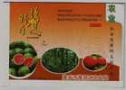 Fruit Watermelon,strawberry,vegetable Cucumber,China 2008 Huayin Agriculture Bureau Advertising Pre-stamped Letter Card - Vegetazione