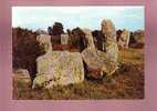 27690 Erdeven, Monuments Mégalithiques De Kerserho N°8 Edit. Artaud Belle Cpsm - Erdeven